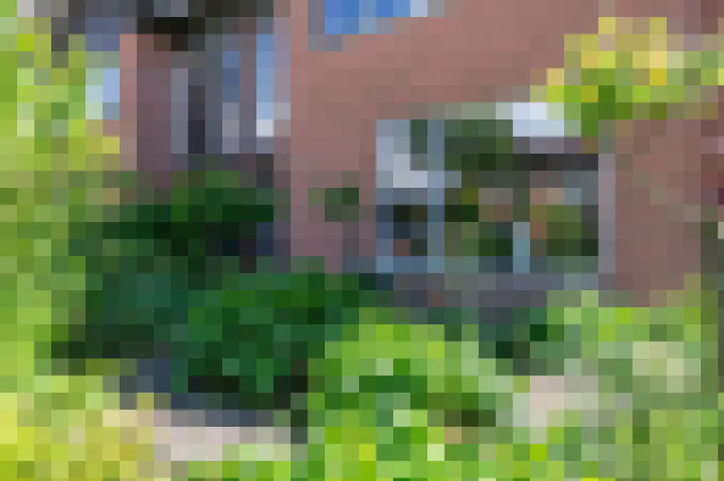Spotvogel 3 Zeewolde thumbnail 45