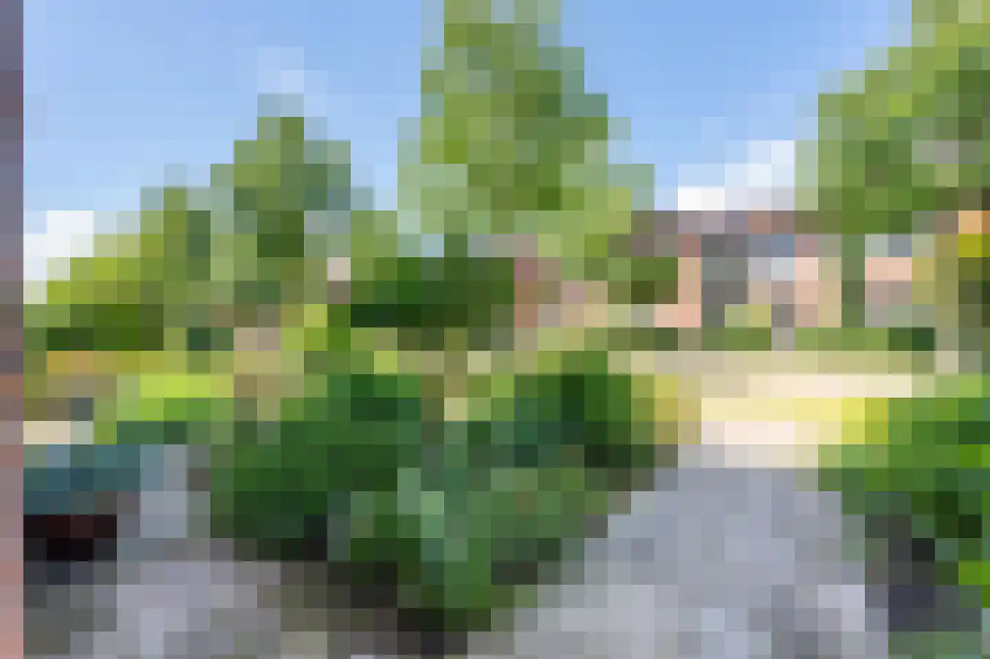Spotvogel 3 Zeewolde thumbnail 46