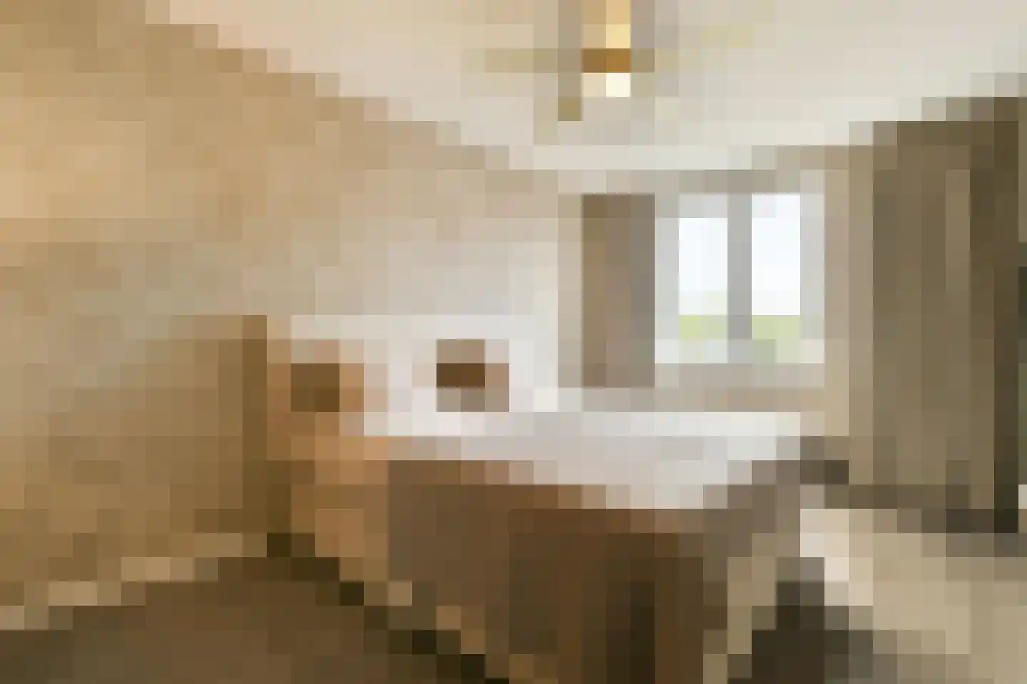 Spotvogel 5 Uithoorn thumbnail 14