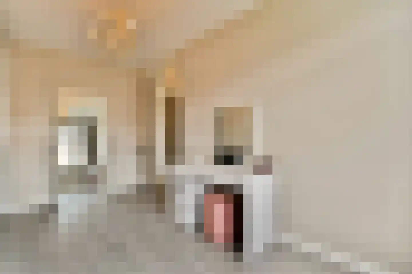 Spotvogel 5 Uithoorn thumbnail 17