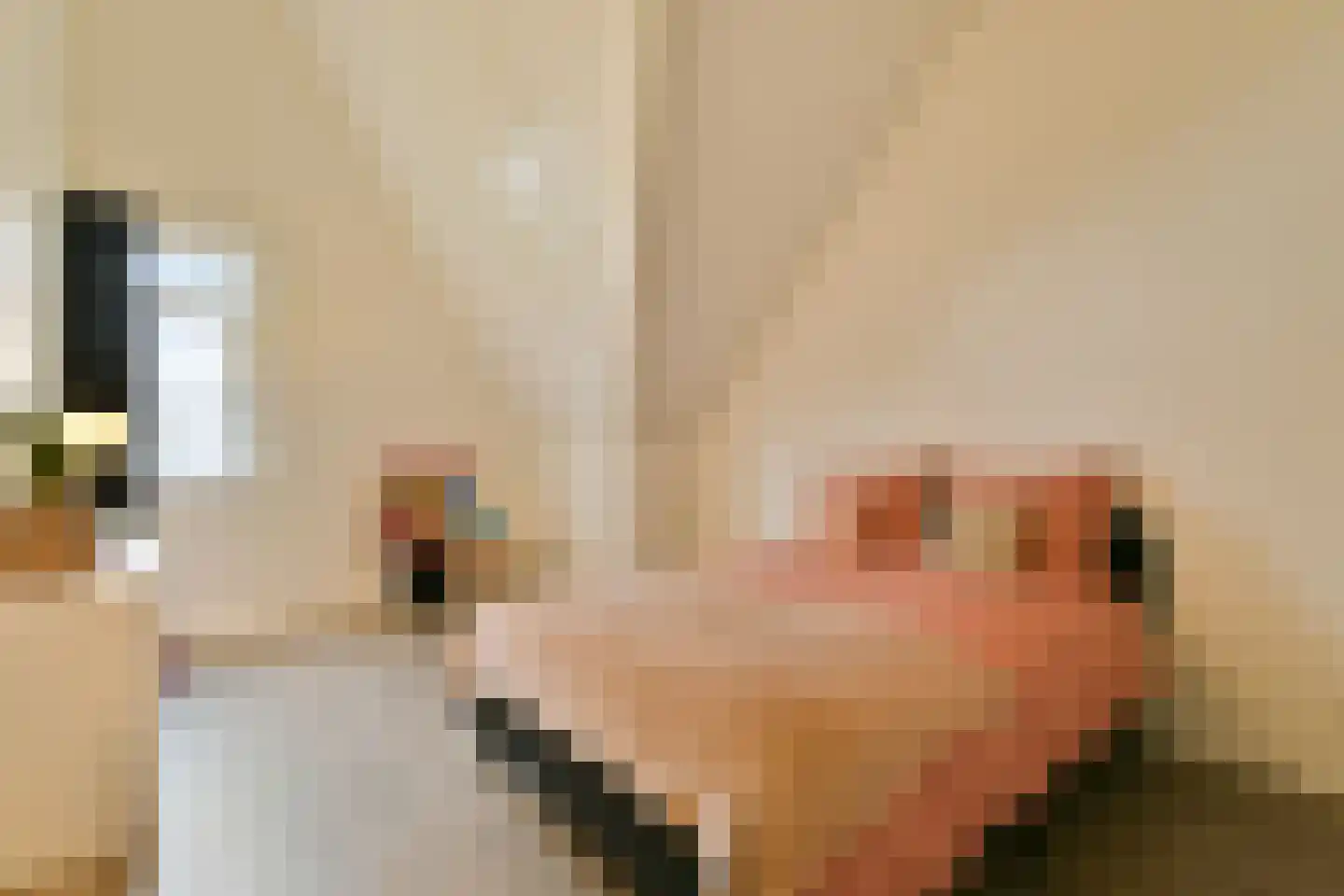 Spotvogel 5 Uithoorn thumbnail 21