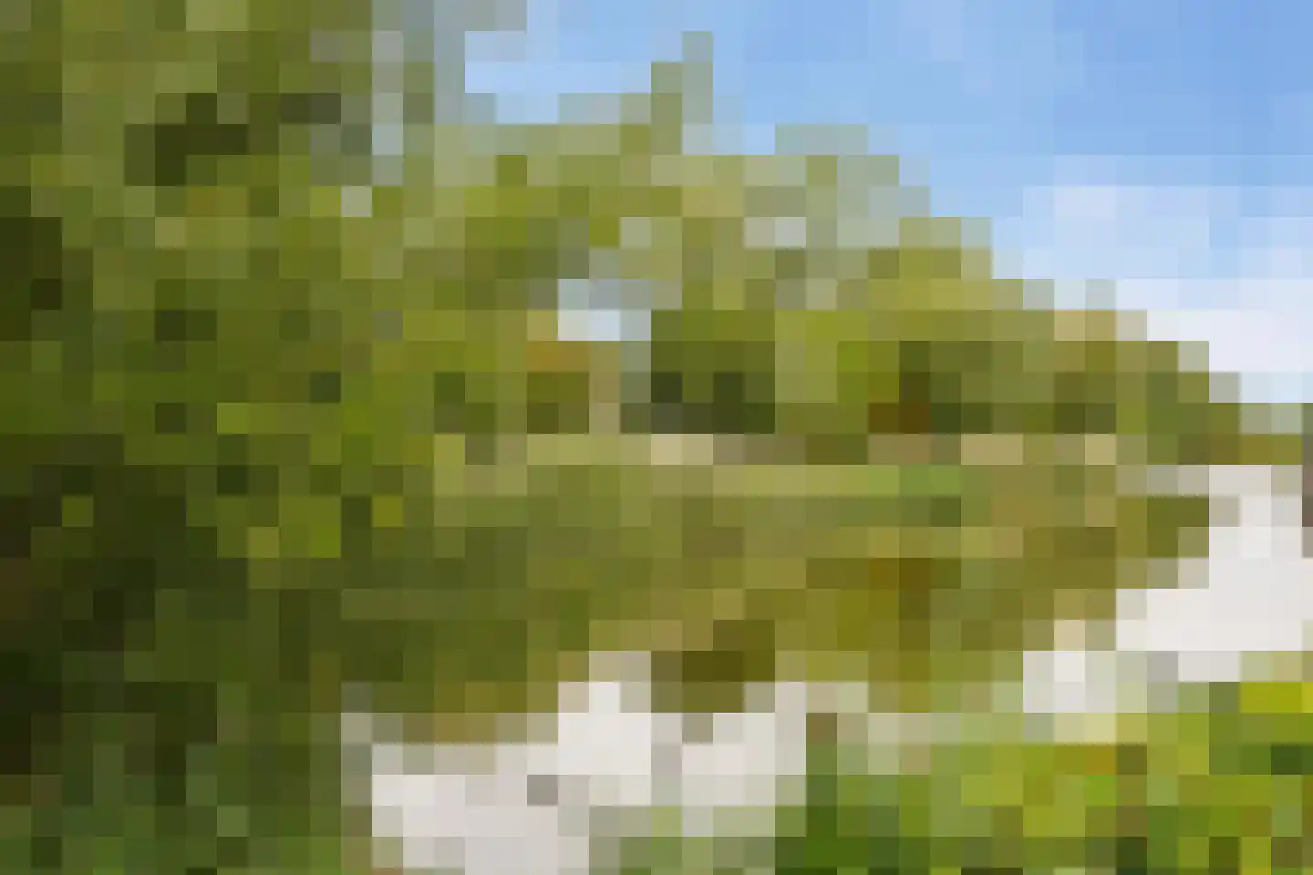 Spotvogel 5 Uithoorn thumbnail 26