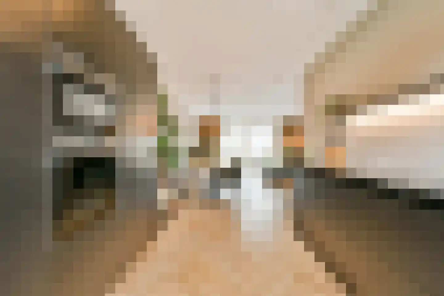 Spotvogel 5 Uithoorn thumbnail 29