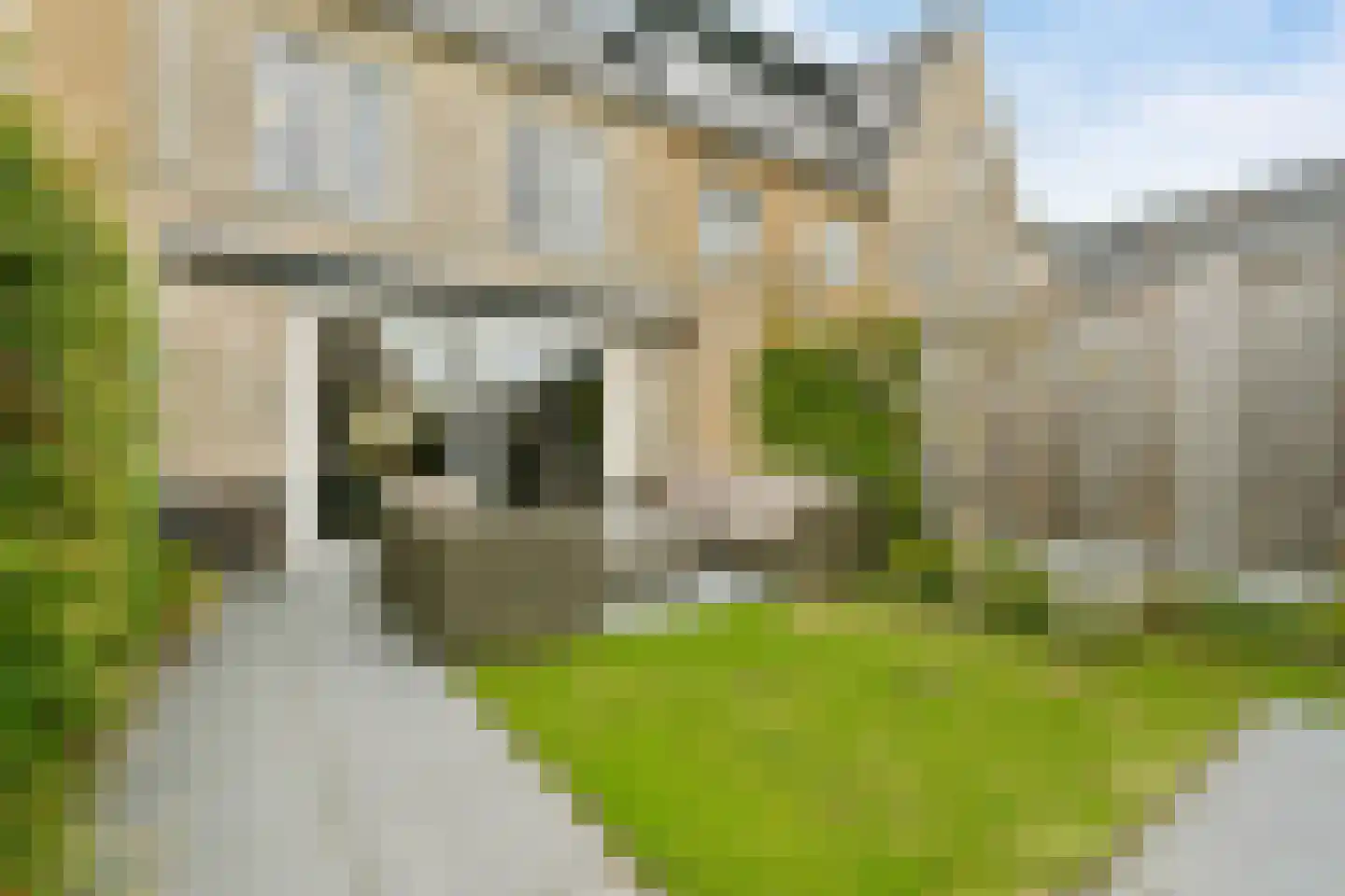 Spotvogel 5 Uithoorn thumbnail 5