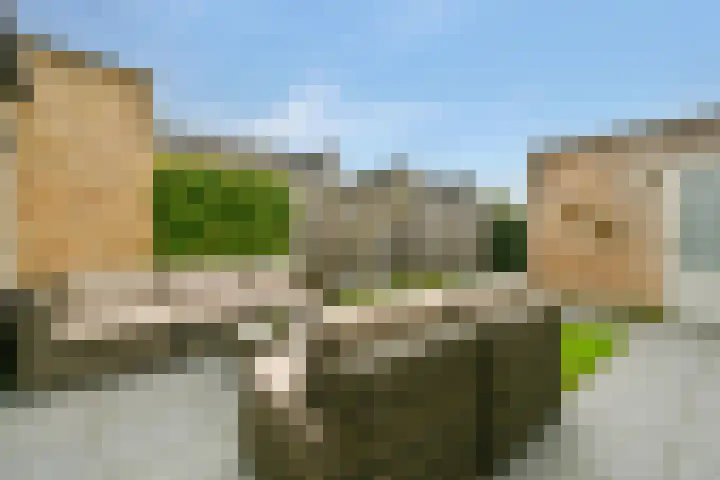 Spotvogel 5 Uithoorn thumbnail 7