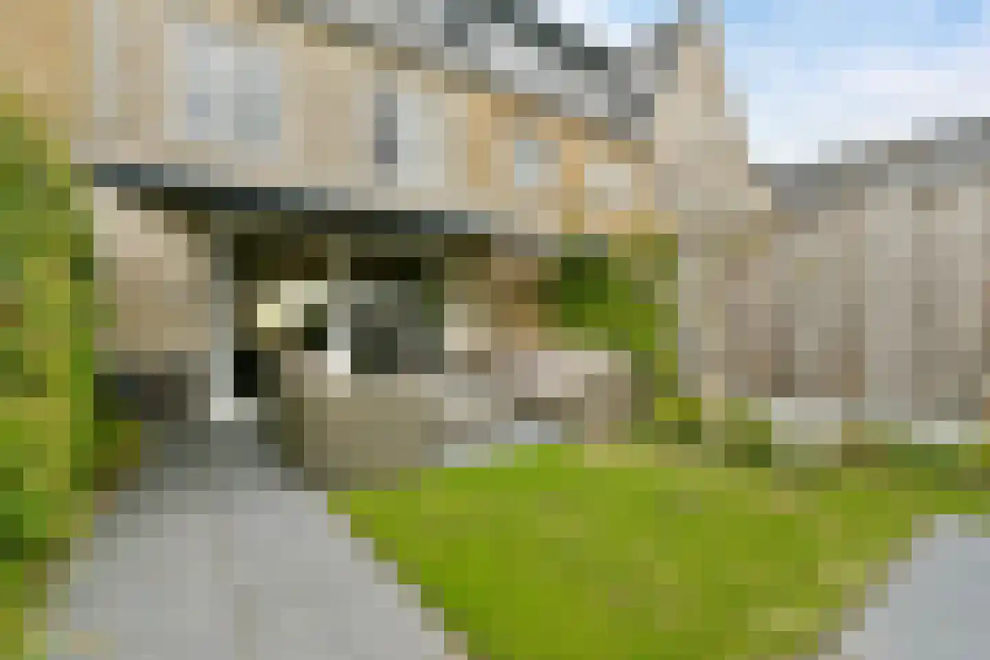 Spotvogel 5 Uithoorn thumbnail 8