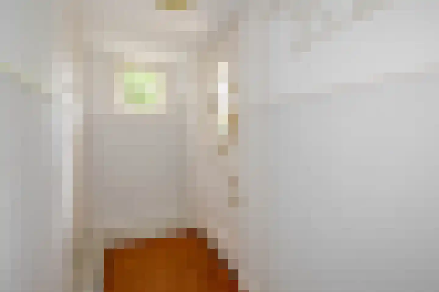 Spotvogellaan 21 Den Haag thumbnail 12