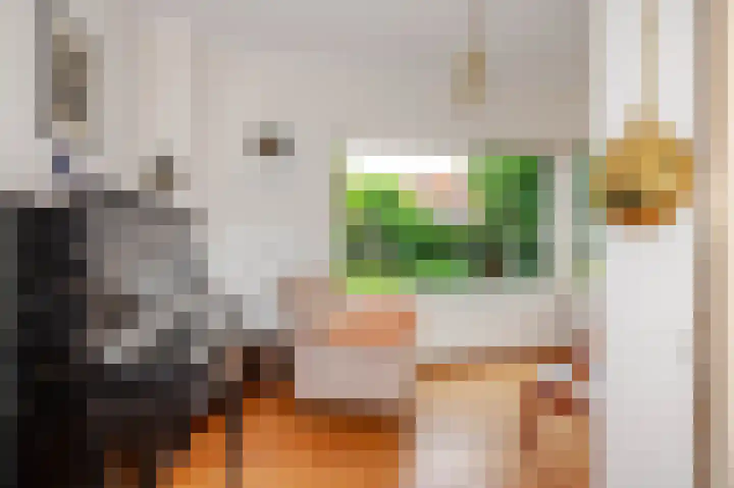 Spotvogellaan 21 Den Haag thumbnail 26