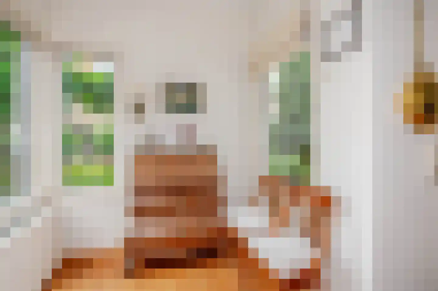 Spotvogellaan 21 Den Haag thumbnail 28