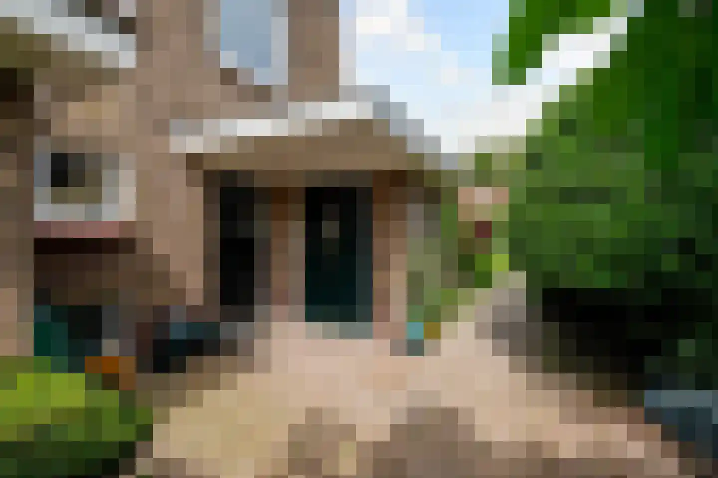 Spotvogellaan 21 Den Haag thumbnail 34