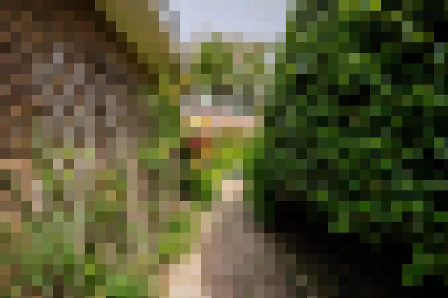 Spotvogellaan 21 Den Haag thumbnail 37