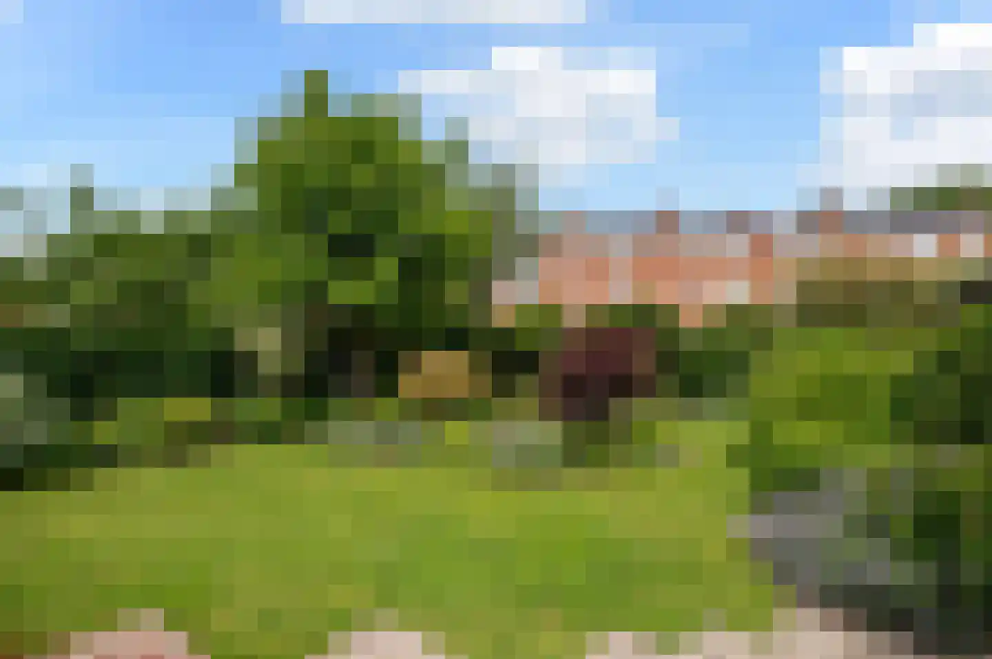 Spotvogellaan 21 Den Haag thumbnail 40