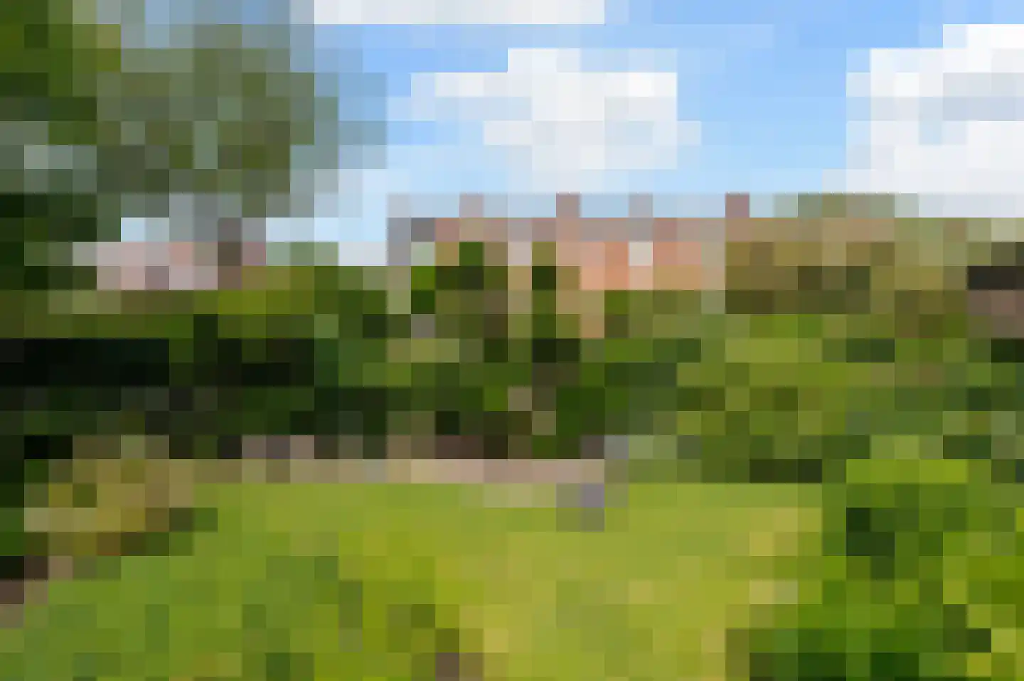 Spotvogellaan 21 Den Haag thumbnail 42