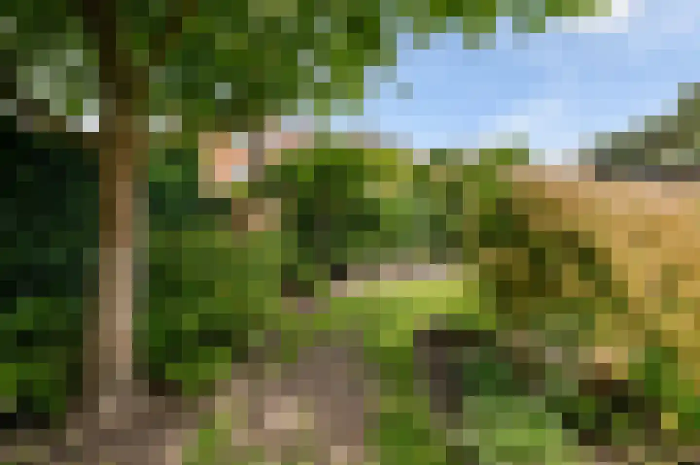 Spotvogellaan 21 Den Haag thumbnail 43