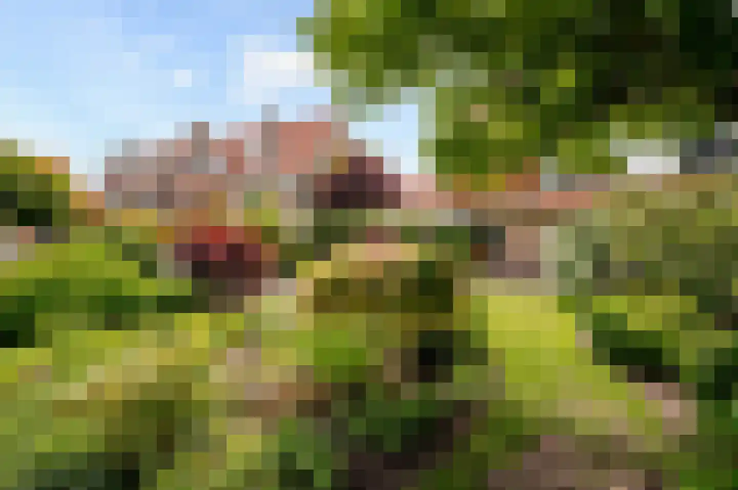 Spotvogellaan 21 Den Haag thumbnail 44
