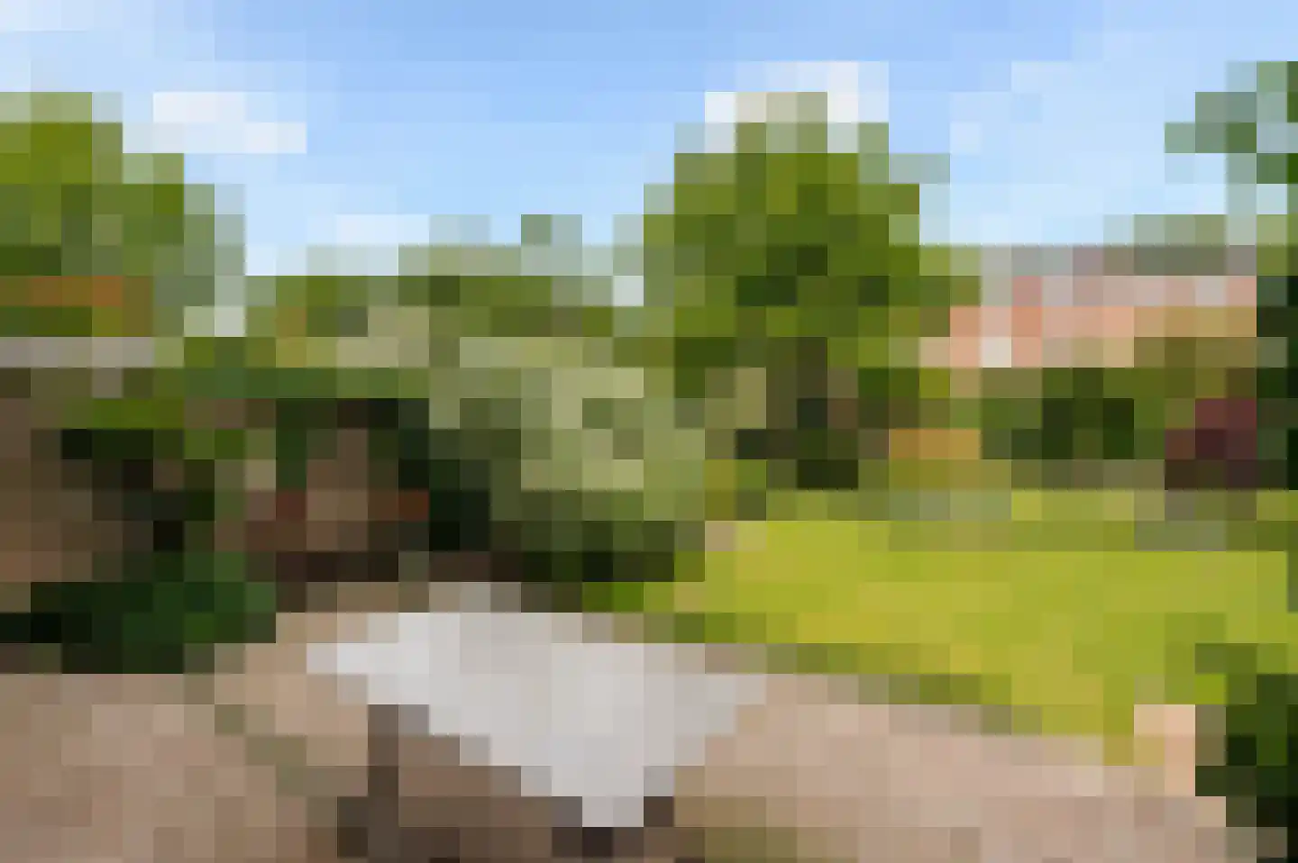 Spotvogellaan 21 Den Haag thumbnail 49