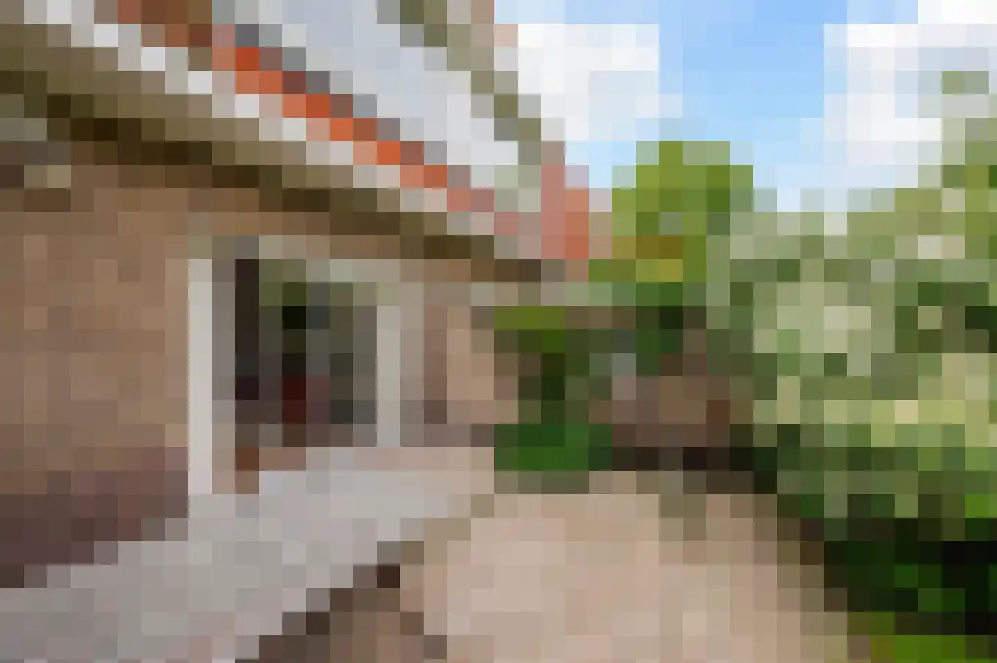 Spotvogellaan 21 Den Haag thumbnail 51