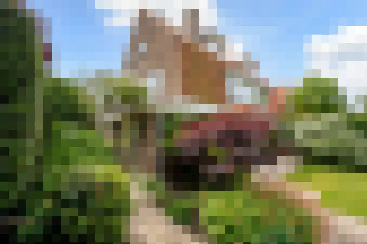 Spotvogellaan 21 Den Haag thumbnail 52