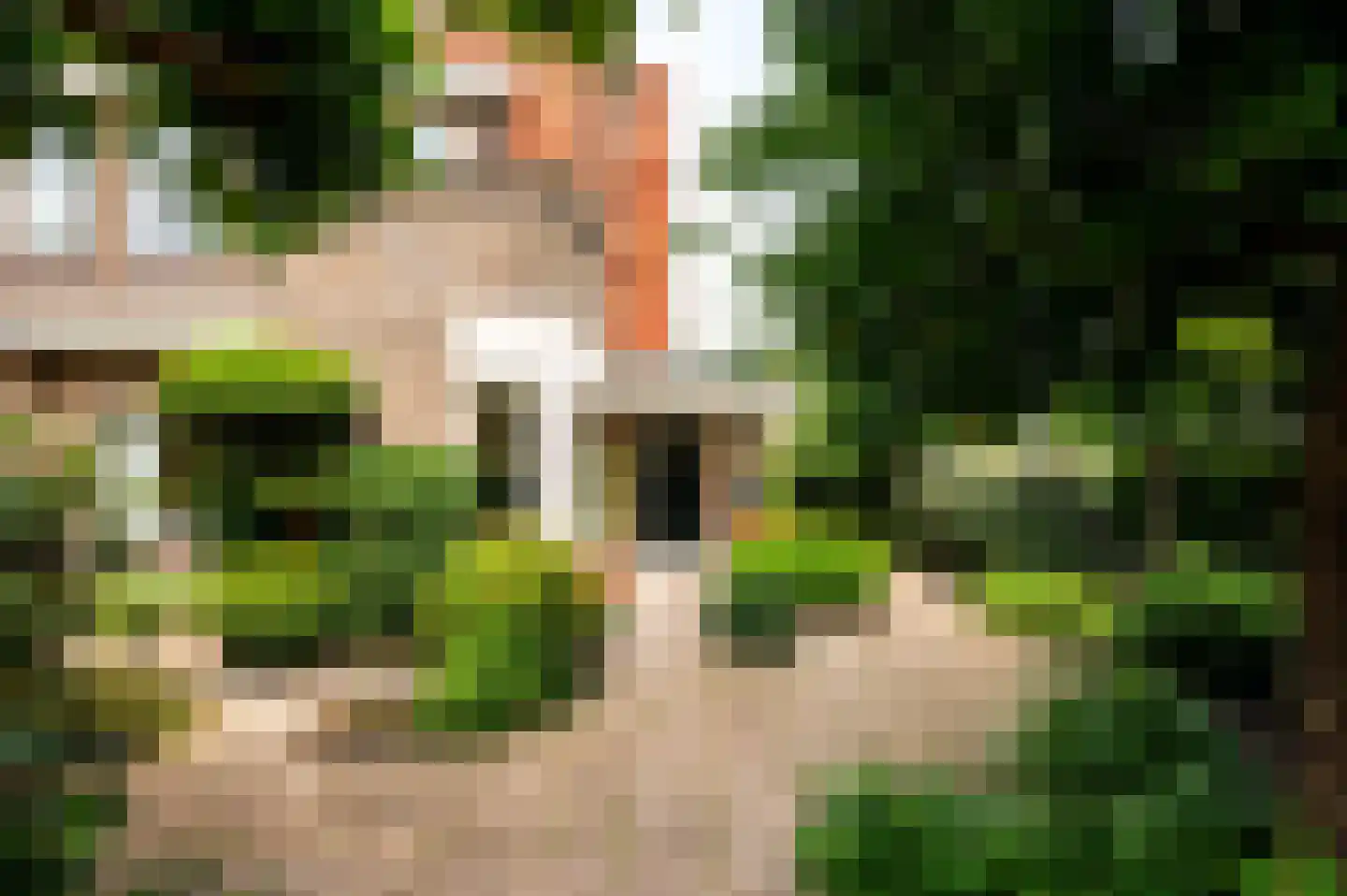 Spotvogellaan 21 Den Haag thumbnail 6