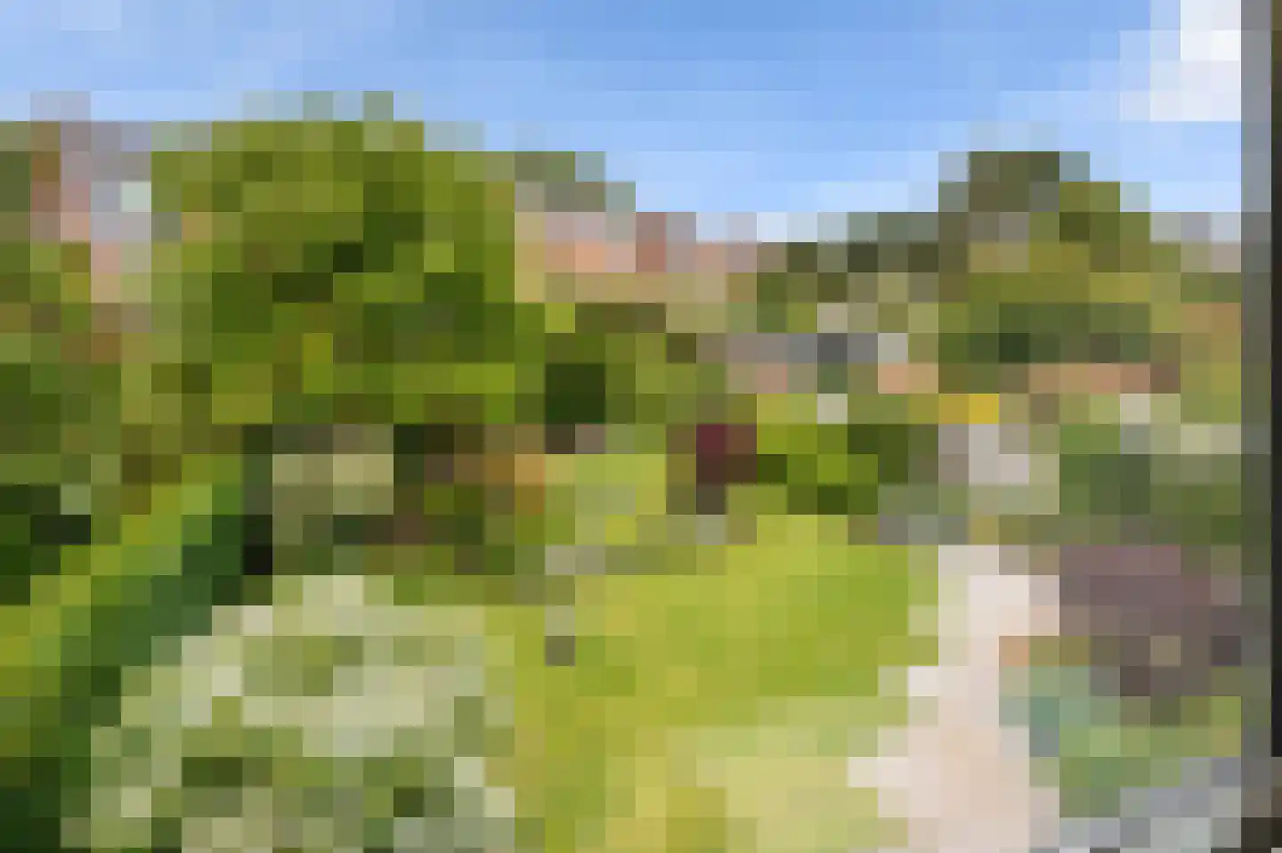 Spotvogellaan 21 Den Haag thumbnail 66