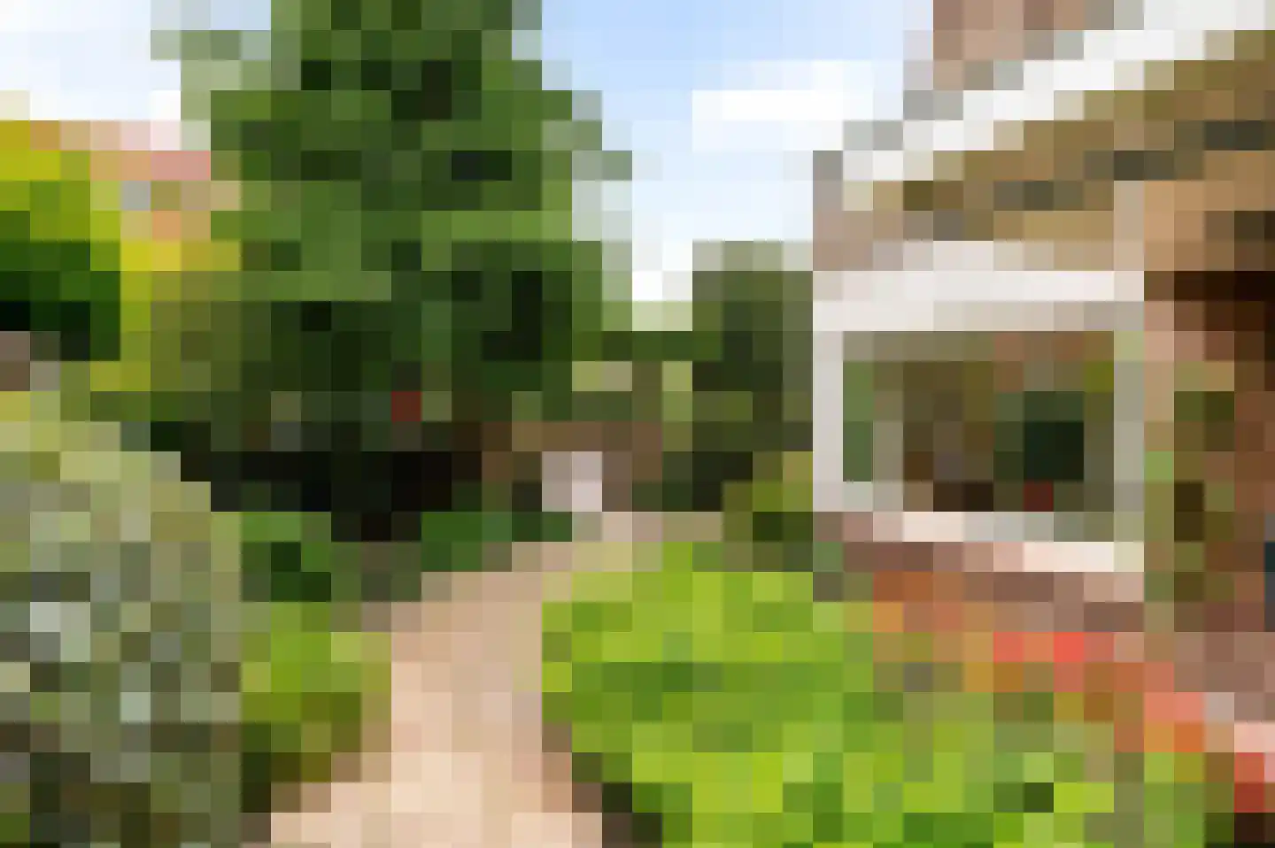 Spotvogellaan 21 Den Haag thumbnail 7