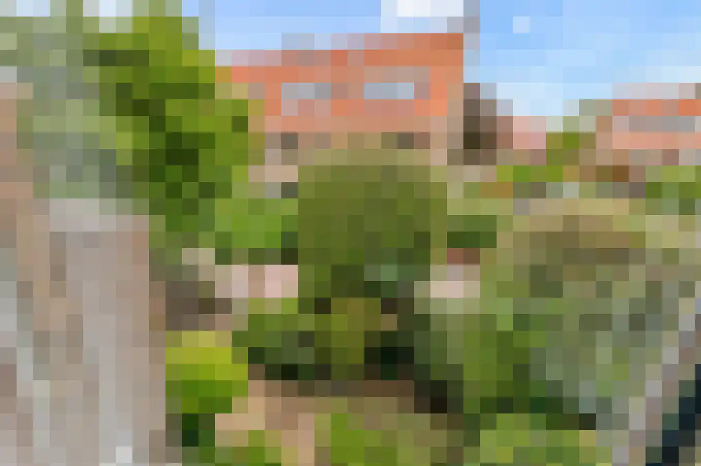 Spotvogellaan 21 Den Haag thumbnail 73