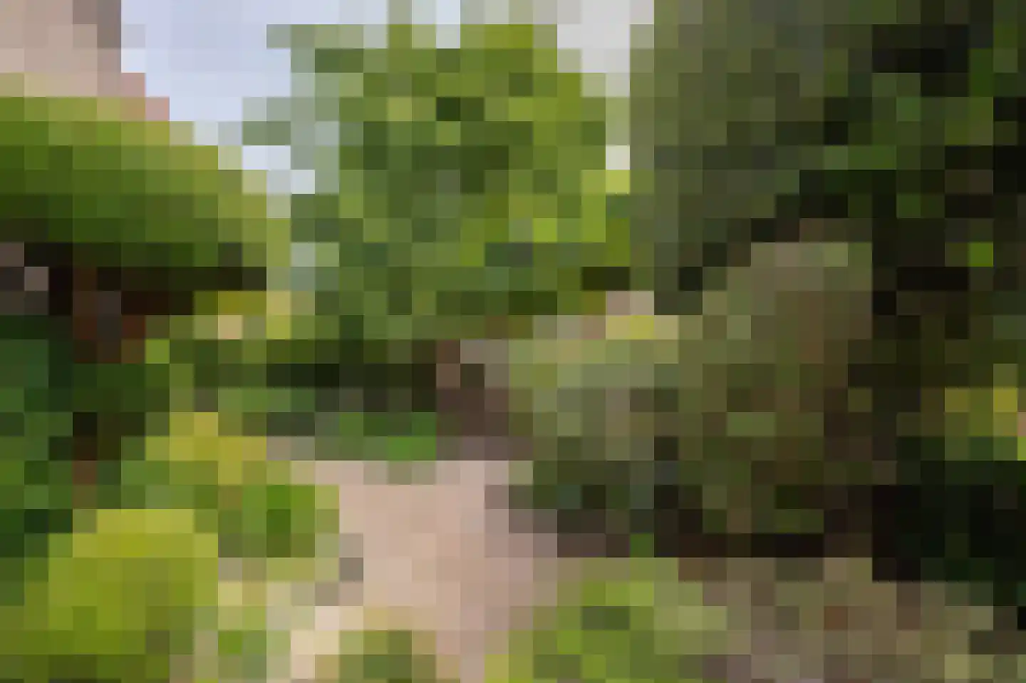 Spotvogellaan 21 Den Haag thumbnail 9