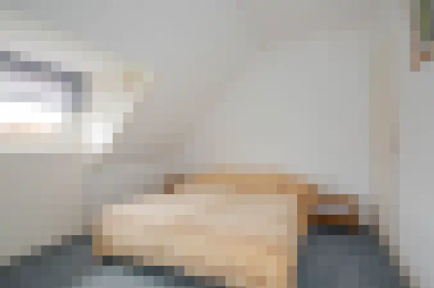 Spotvogellaan 21 Den Haag thumbnail 91