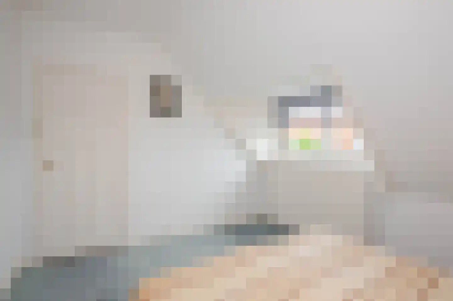 Spotvogellaan 21 Den Haag thumbnail 92