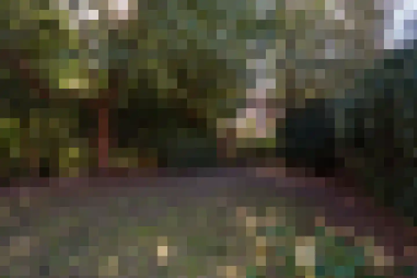 Spotvogellaan 76 Den Haag thumbnail 12