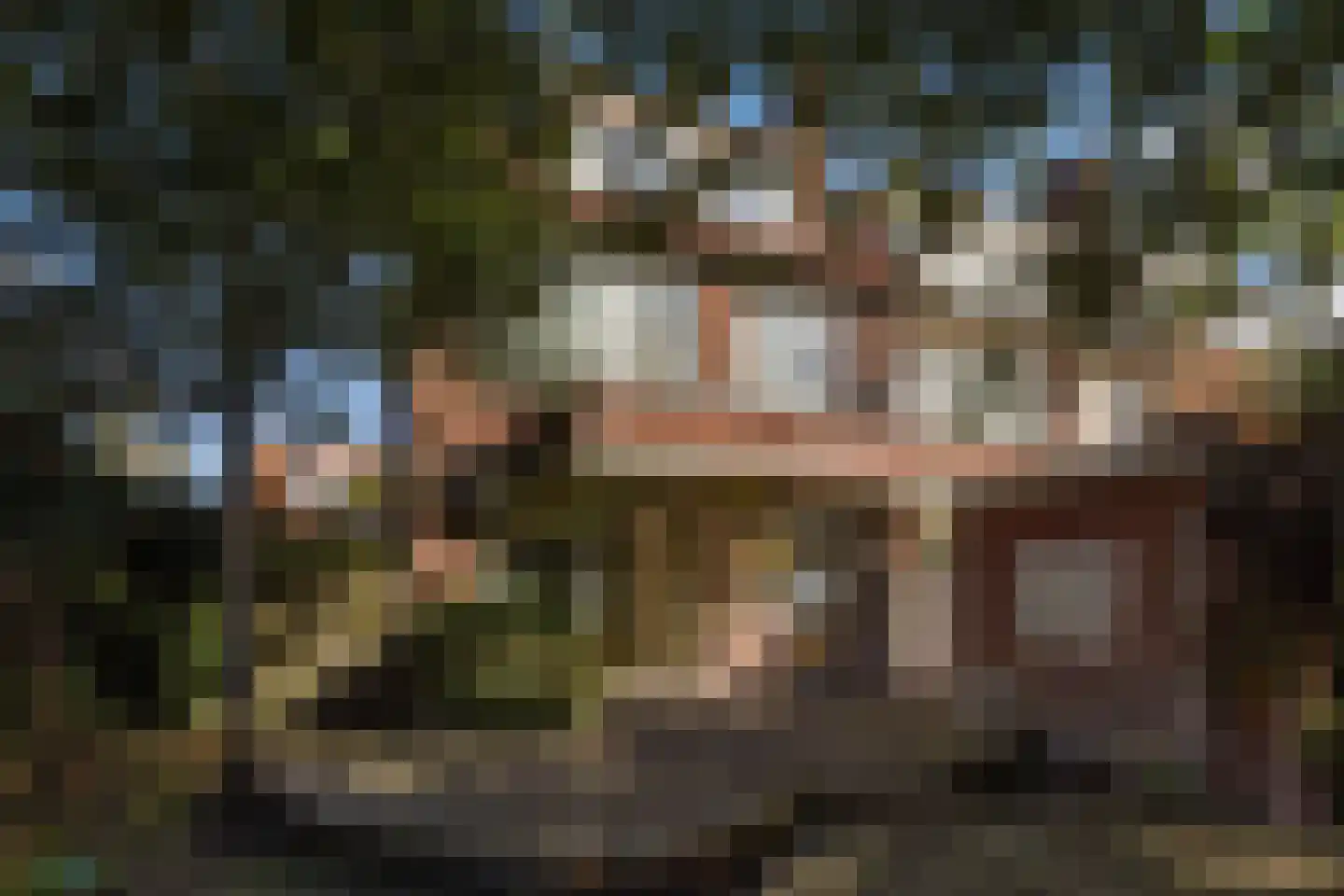 Spotvogellaan 76 Den Haag thumbnail 13