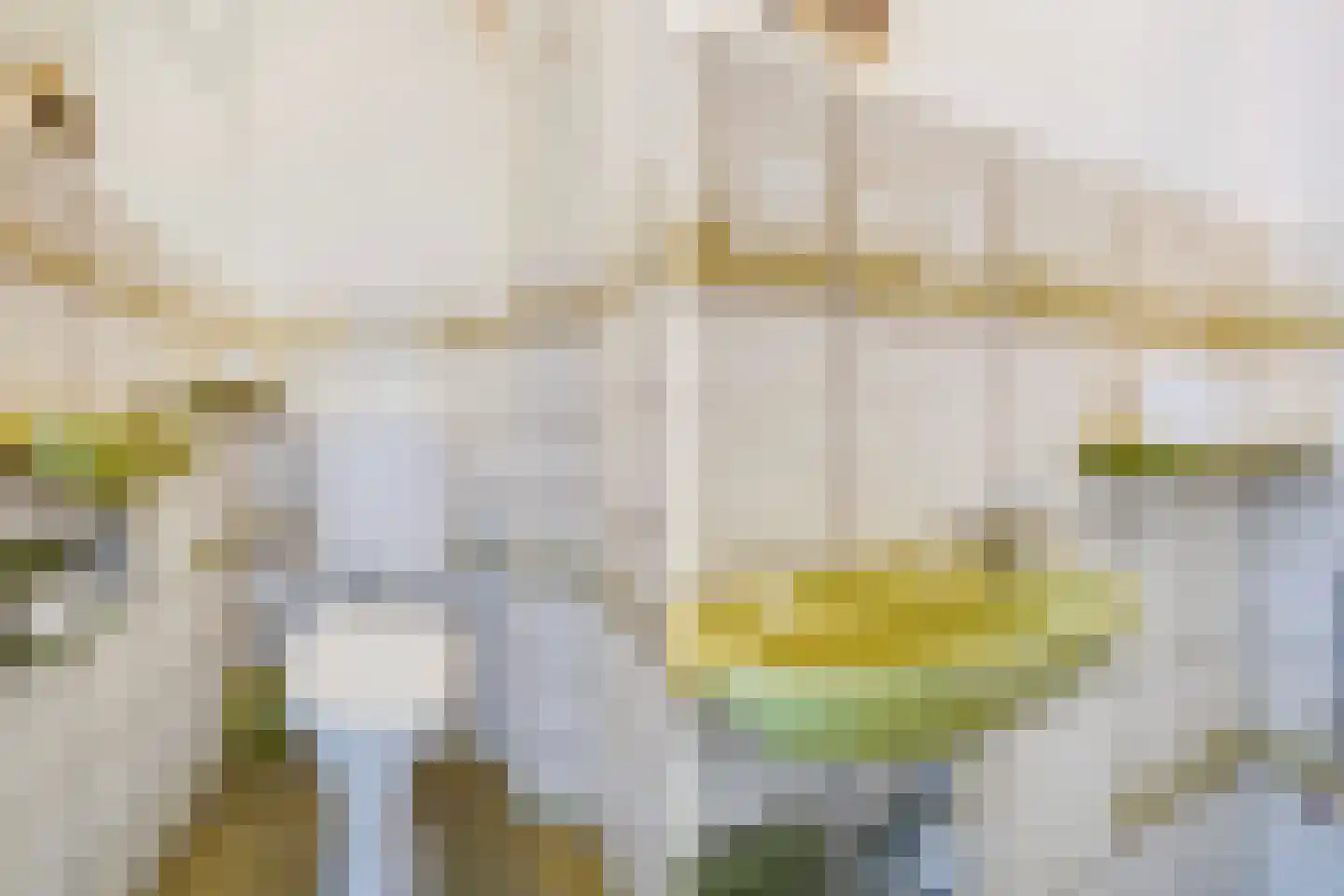 Spotvogellaan 76 Den Haag thumbnail 21
