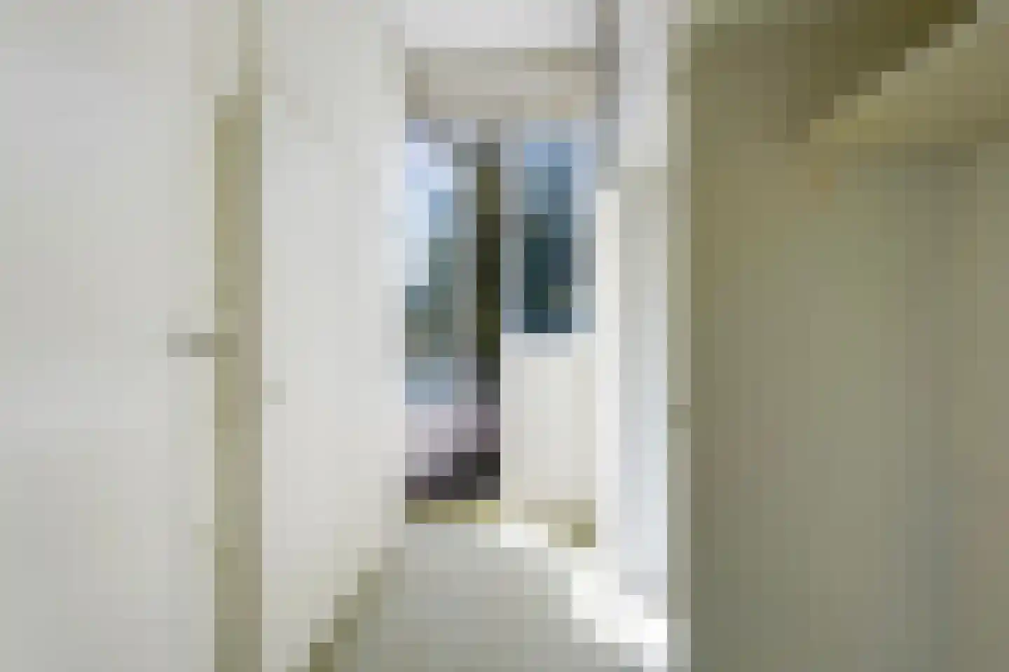 Spotvogellaan 76 Den Haag thumbnail 34