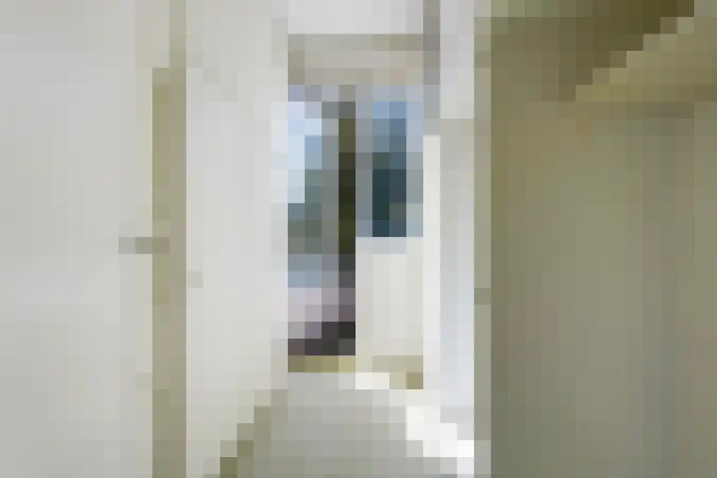 Spotvogellaan 76 Den Haag thumbnail 34