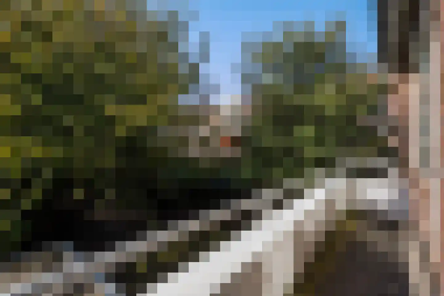 Spotvogellaan 76 Den Haag thumbnail 35