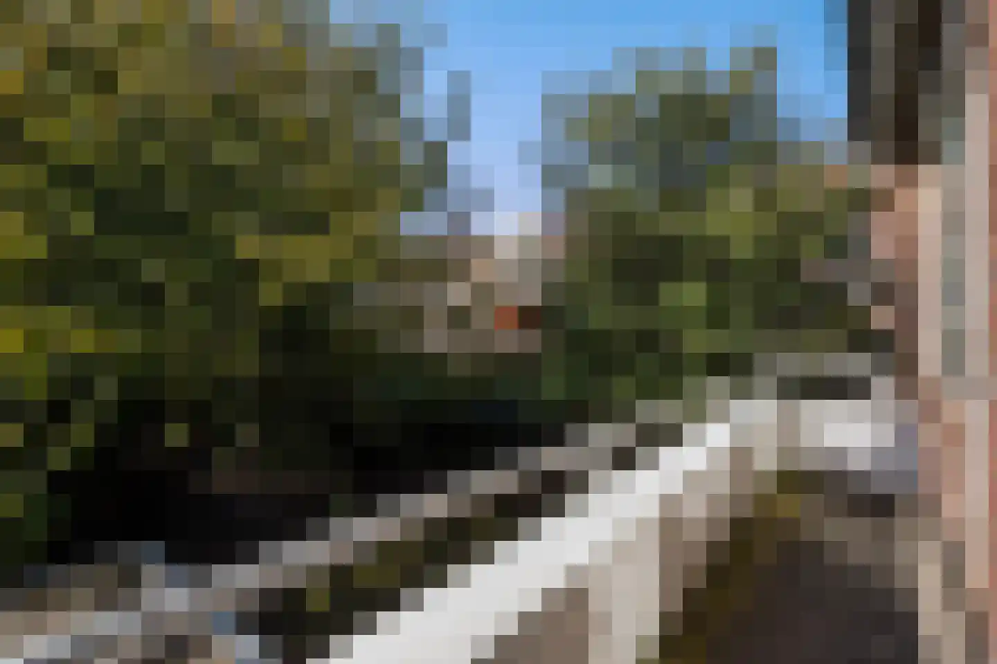 Spotvogellaan 76 Den Haag thumbnail 35