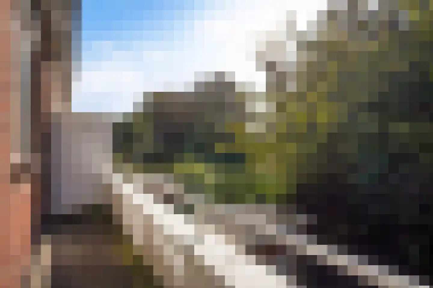 Spotvogellaan 76 Den Haag thumbnail 36