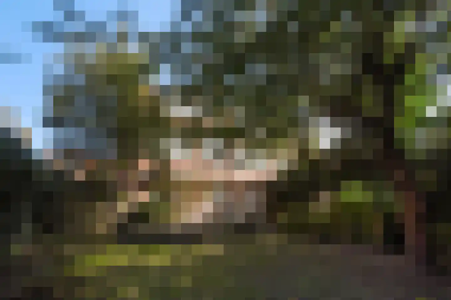 Spotvogellaan 76 Den Haag thumbnail 4