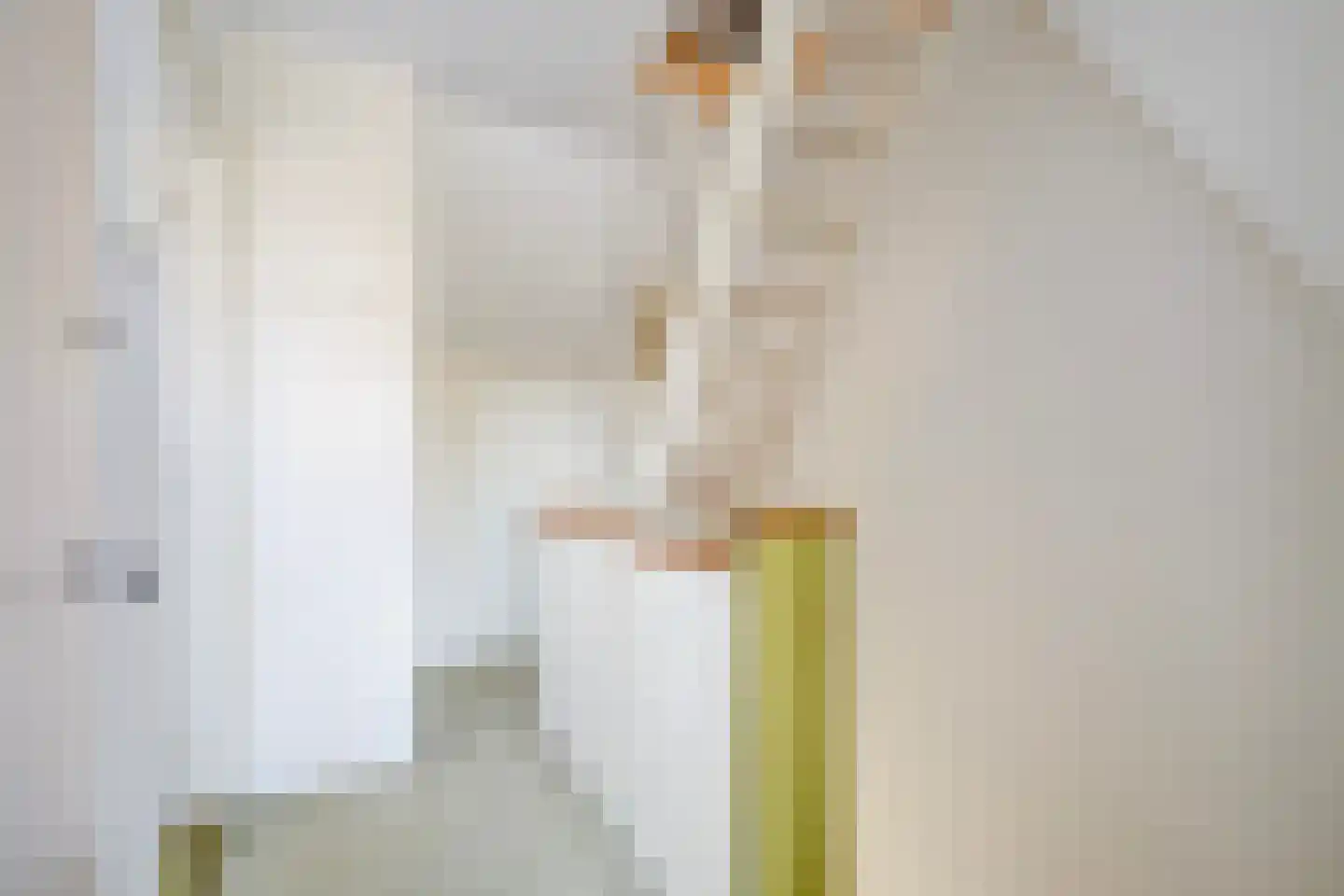 Spotvogellaan 76 Den Haag thumbnail 42