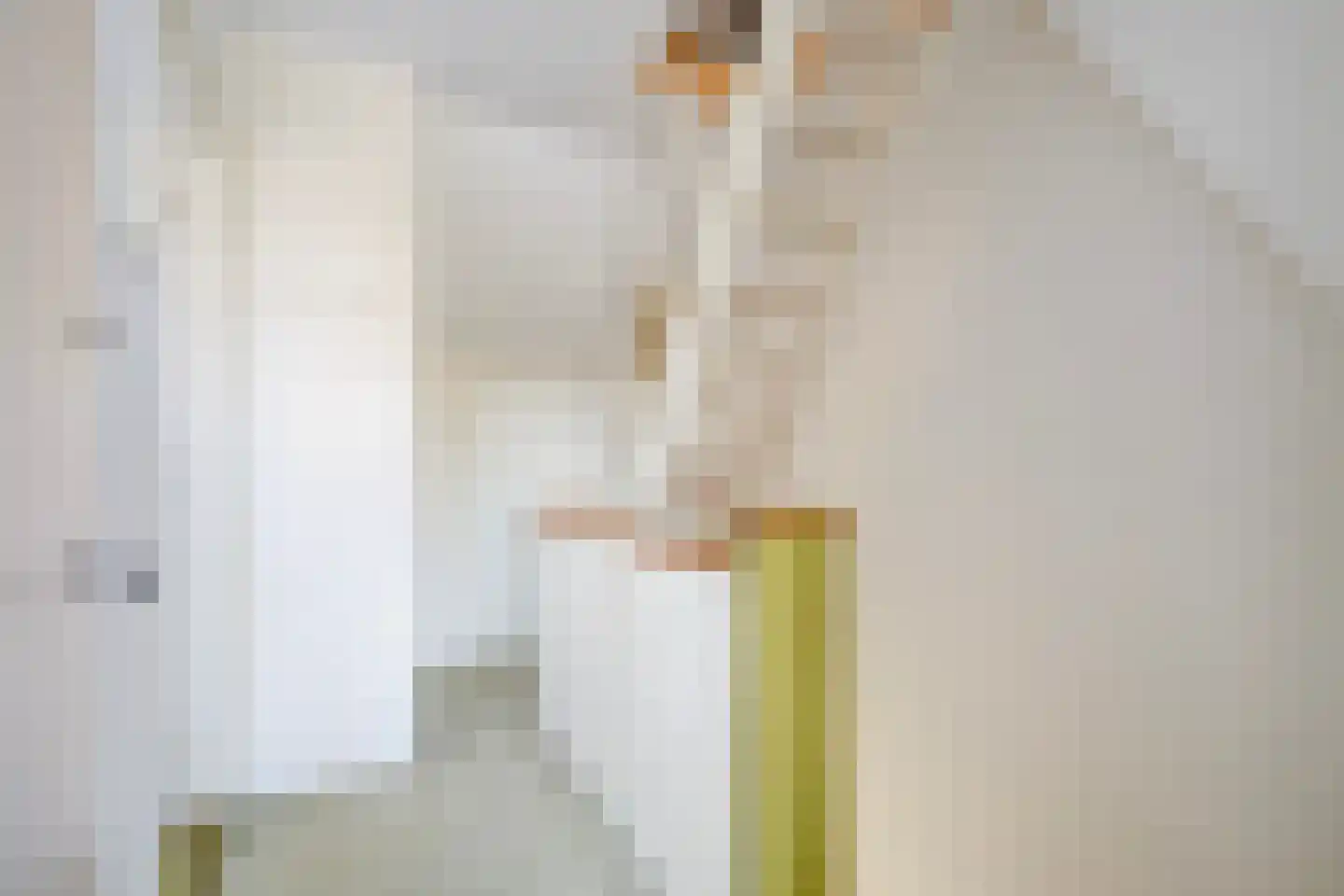 Spotvogellaan 76 Den Haag thumbnail 42