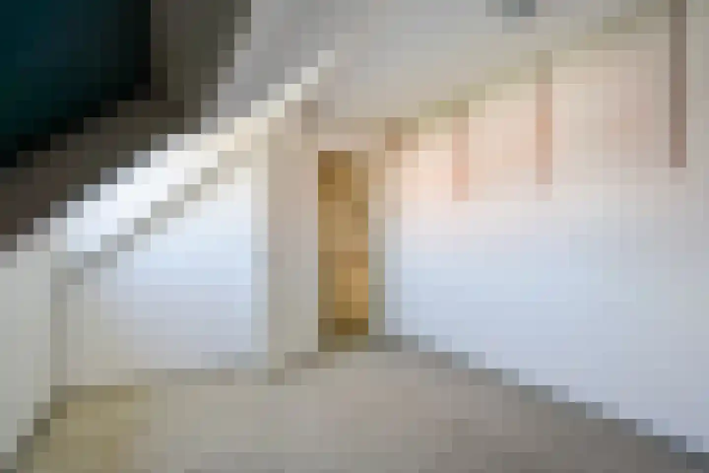 Spotvogellaan 76 Den Haag thumbnail 48