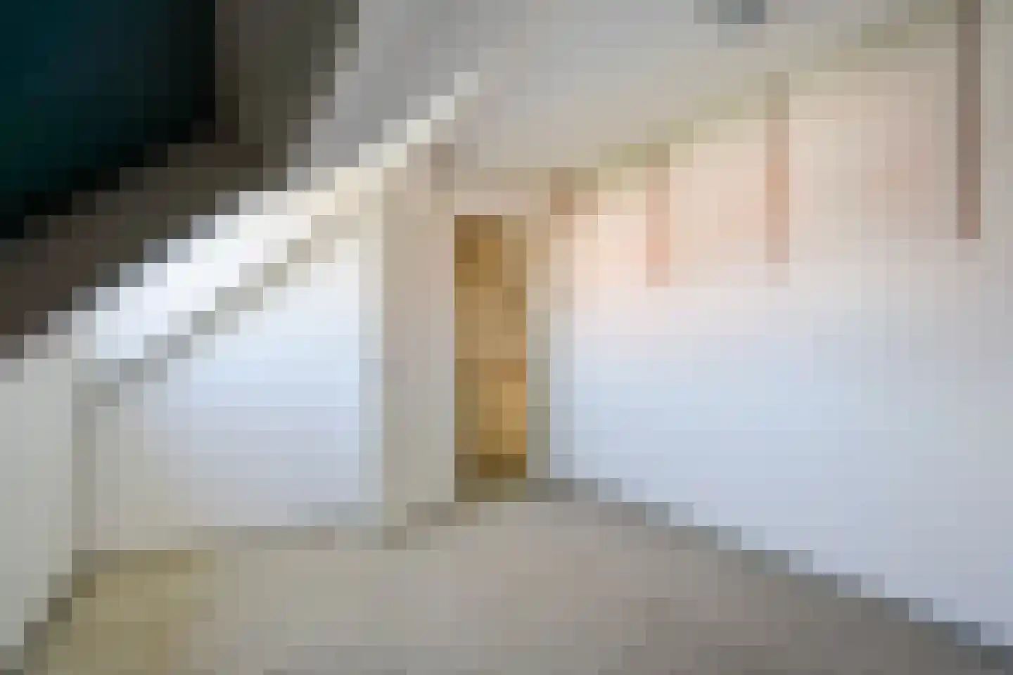 Spotvogellaan 76 Den Haag thumbnail 48