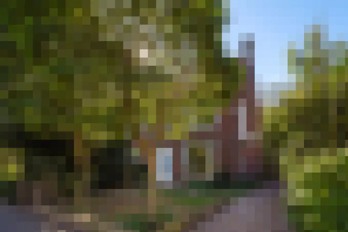 Spotvogellaan 76 Den Haag thumbnail 55