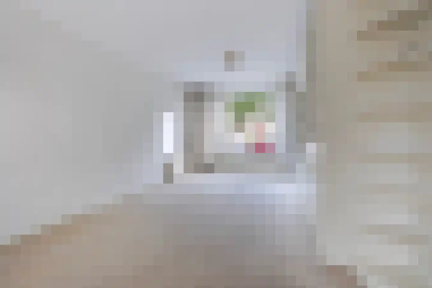 Spotvogellaan 76 Den Haag thumbnail 7