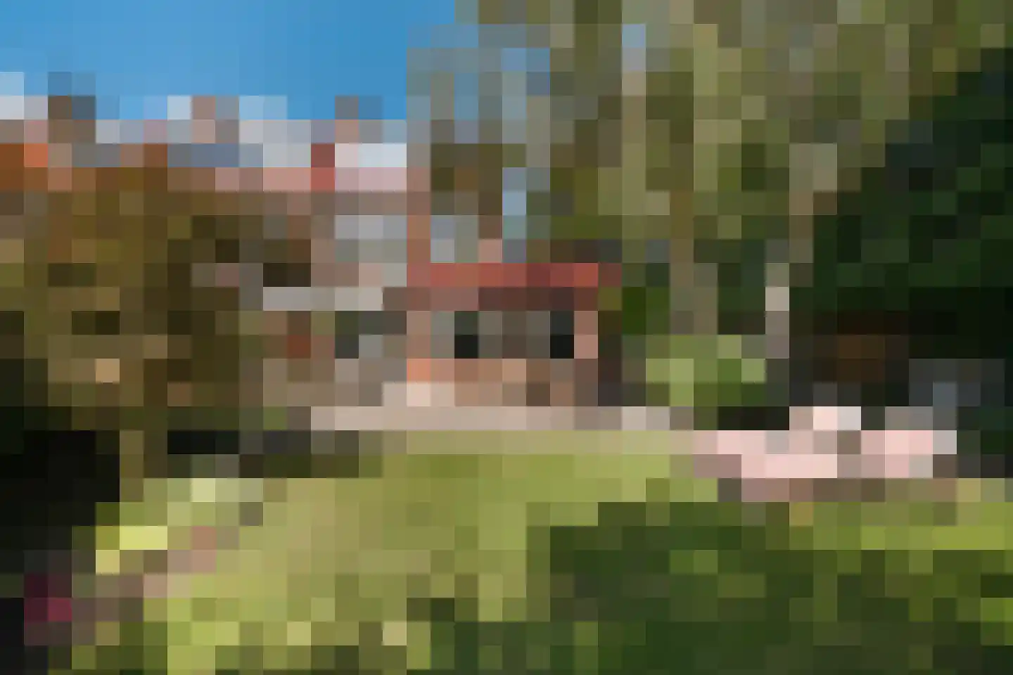 Spotvogellaan 94 in Den Haag