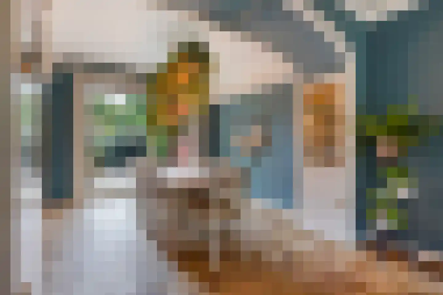 Spotvogellaan 94 Den Haag thumbnail 16