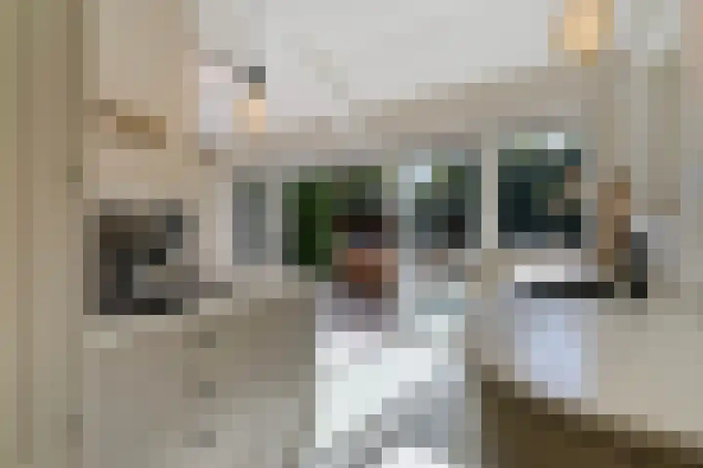 Spotvogellaan 94 Den Haag thumbnail 20