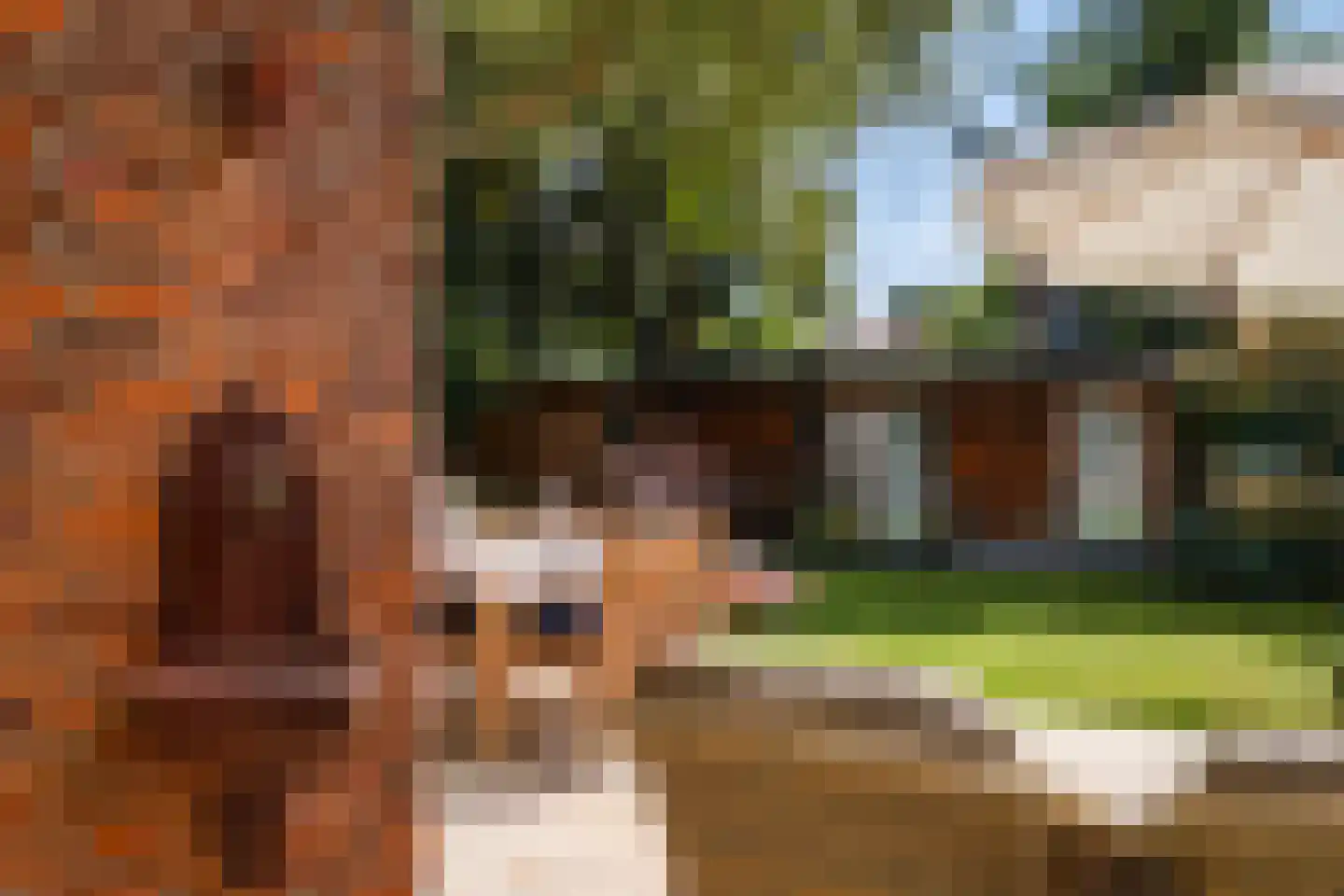 Spotvogellaan 94 Den Haag thumbnail 21