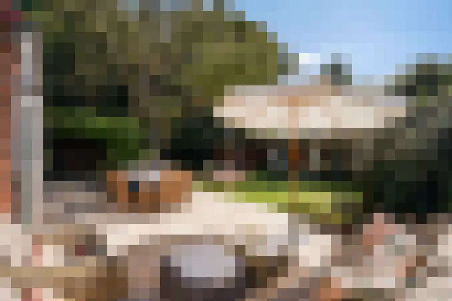 Spotvogellaan 94 Den Haag thumbnail 22