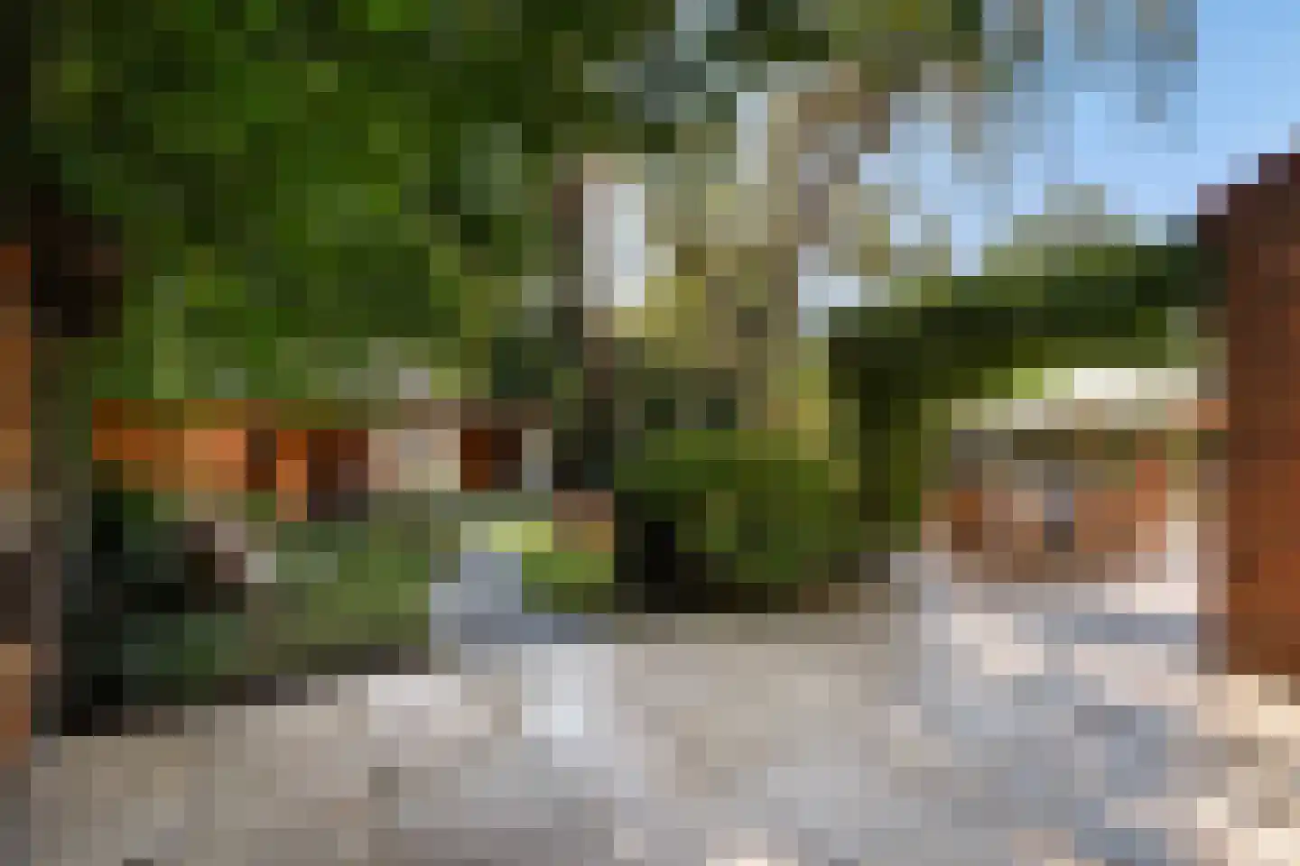 Spotvogellaan 94 Den Haag thumbnail 24